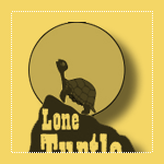 Lone Turtle Illustration Logo Critique Cropped Logo