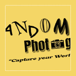 Random Photography Logo Design Critique Cropped Logo