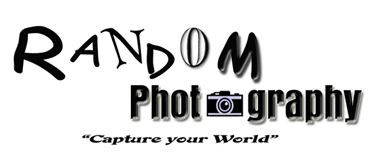 Random Photography Logo Design Critique Logo